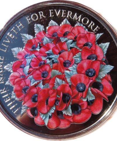 2016 Remembrance Day Alderney £5 BU Poppy Coin in Capsule