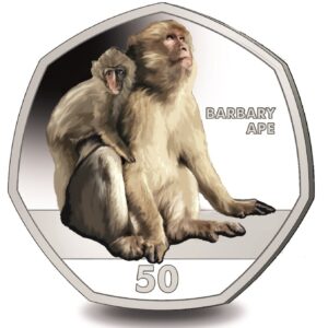 2018 Gibraltar Primates 'Barbary Ape' Coloured 50p BU Coin in Capsule