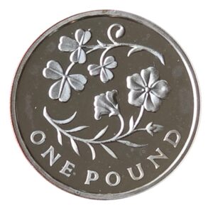 2014 Northern Ireland Flax Shamrock UK £1 Silver Proof Coin in Capsule