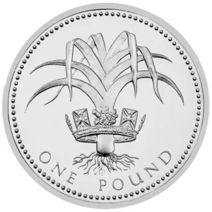 1990 UK Coin £1 Silver Proof Welsh Leek Coin in Capsule