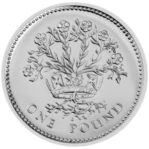 1991 UK Coin £1 Silver Proof Irish Flax Coin in Capsule